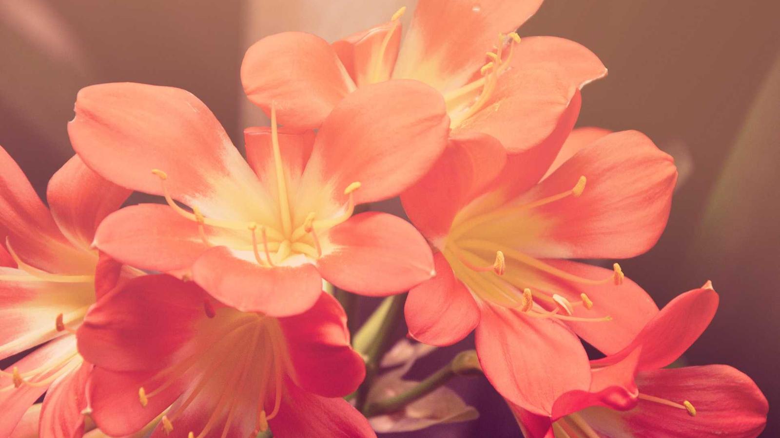 Scène rétro gaming